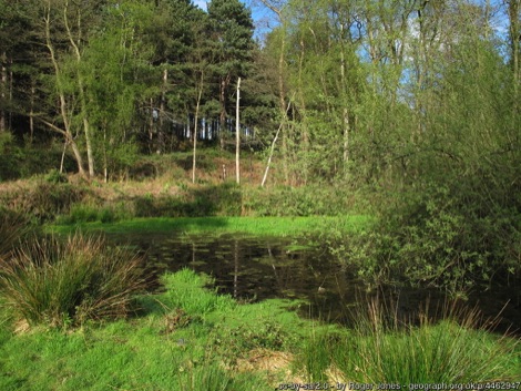 Large pond